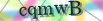 default Security Image