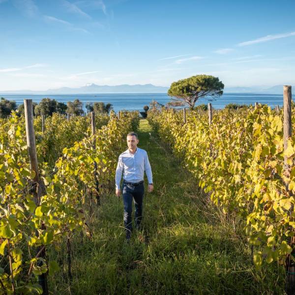 ilCilento suggestions: in Punta Licosa the vineyard that smells of the sea